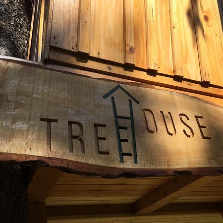 Вілла Tree House Alpinka Krvavec Церклє-на-Горенськем Екстер'єр фото