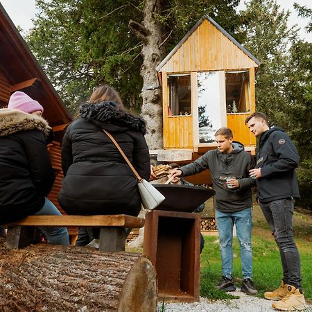 Вілла Tree House Alpinka Krvavec Церклє-на-Горенськем Екстер'єр фото