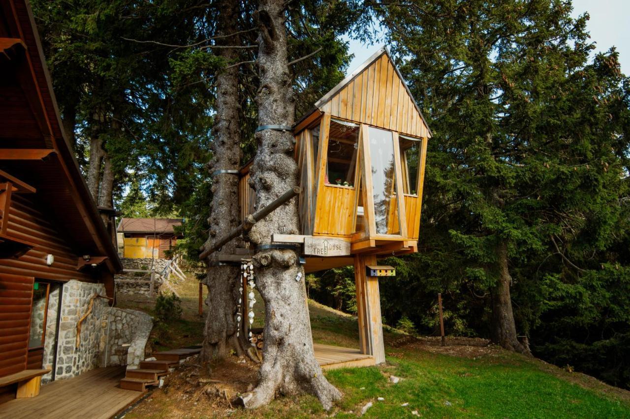 Вілла Tree House Alpinka Krvavec Церклє-на-Горенськем Екстер'єр фото