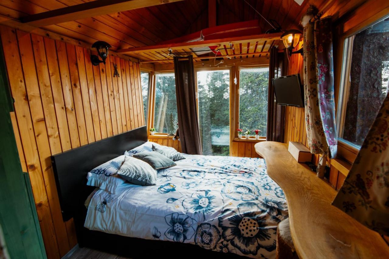 Вілла Tree House Alpinka Krvavec Церклє-на-Горенськем Екстер'єр фото